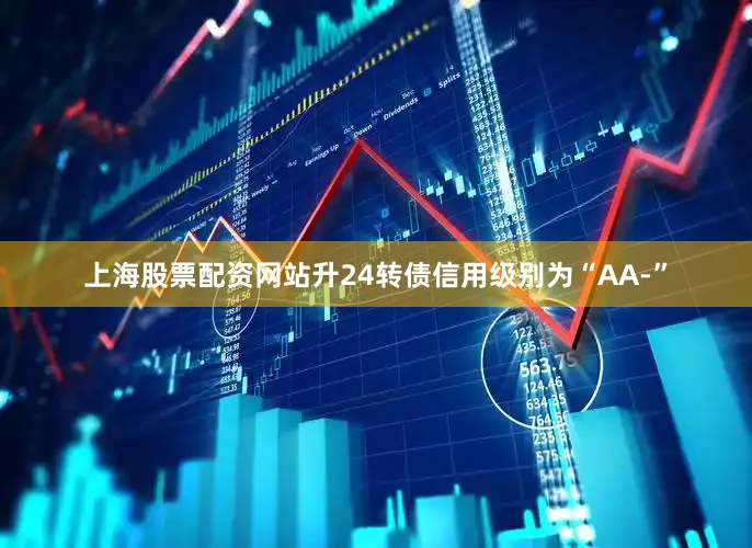 上海股票配资网站升24转债信用级别为“AA-”
